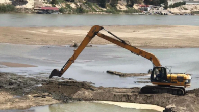 955ECBCF 1EDE 46BD 9DCA E893F5AB22EA