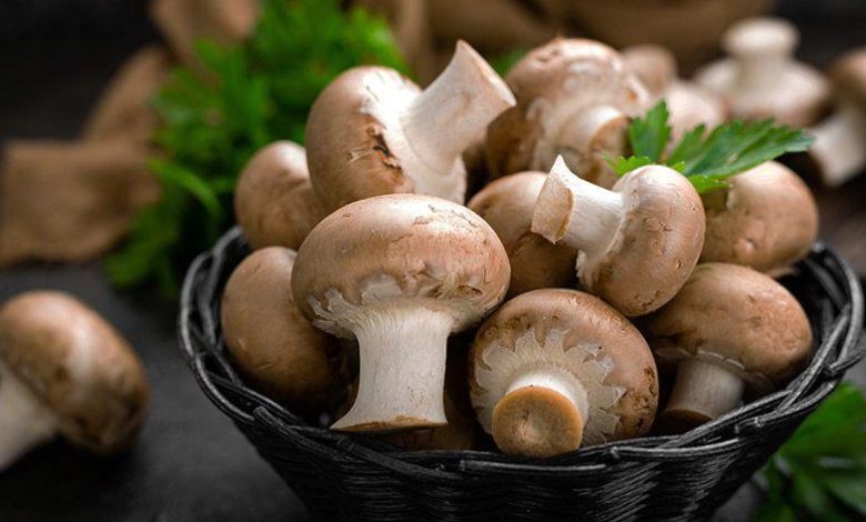 9683D7D3 6797 4A3A B3B5 148C28739514