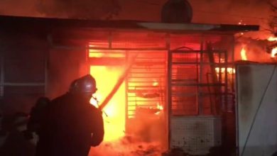 9D1378CF EF22 4FB9 BA9A 09B7BFE411A3