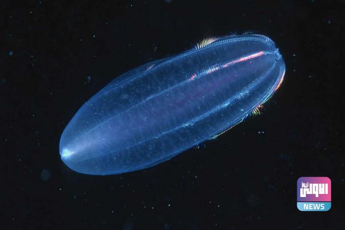 9c0b33acbfae3027f2b055b320f6d51a