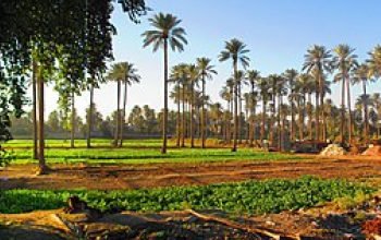 A739F783 1A28 47D9 97B6 69DBCE06912A