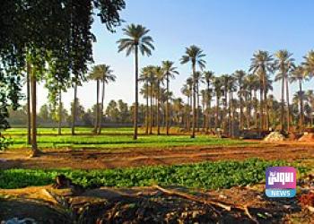 A739F783 1A28 47D9 97B6 69DBCE06912A