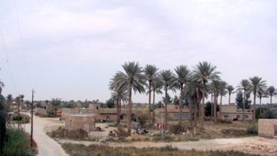 ADE6CFF0 9D3E 42B5 B7B3 DBA1FDF666C1