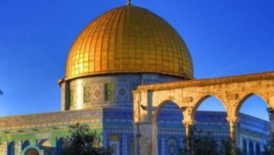 B12F7E99 C76C 44B9 BD2C ED639D873ABC