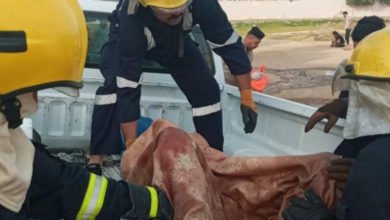 B8F466E0 DDE8 4569 AA87 22910FEA664C