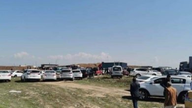 C82936C3 157D 41DE BE2F CE0327AB794F