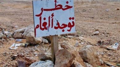 CA4C0284 1691 417A AE9A 77B89B9383C5