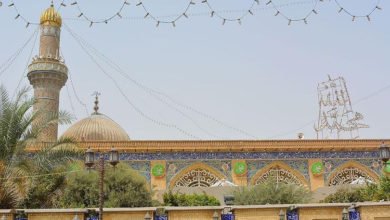 CCAFE5F4 11C4 4D8E B975 D1631385B26F