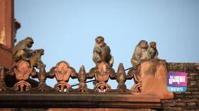 CCE495B9 05C4 4F7C 9C80 82A41EAE3F4A