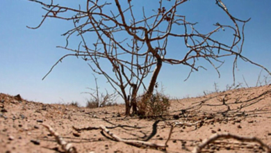 CE0FF986 917E 47BE 933C 7D946FDF5911