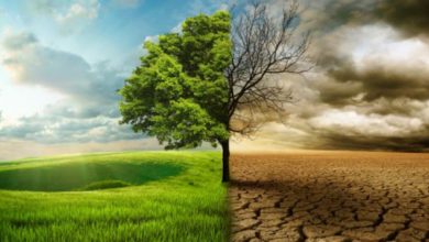 Climate Change hero image 752x357 1