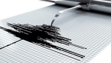 D03F6871 717E 4679 B803 63E830425E20