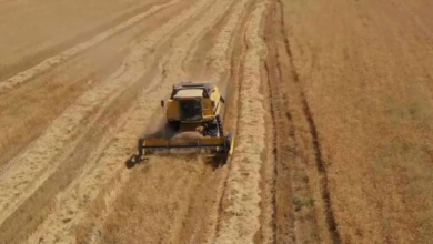 D22949B3 F706 459A B689 6FBF433F1D4B