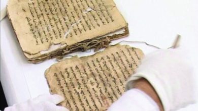 D3C02727 B6C9 478C BA86 55DF3D1AE8E4