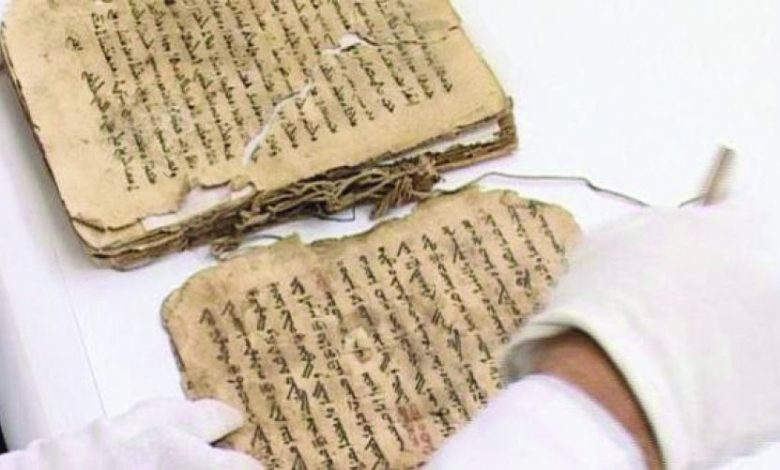 D3C02727 B6C9 478C BA86 55DF3D1AE8E4