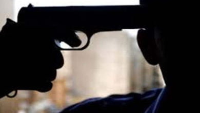 D3EE0872 C4F7 4743 BFAF 7C9899FB6558