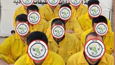 D48DE79B AA50 4E01 882B 04AD5719F1EE