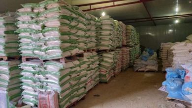 D49D5768 5B63 4BDA BBA1 BC80FE9AB338