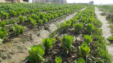 D5F41477 0A3D 4E82 9A53 3E6E614FAC07