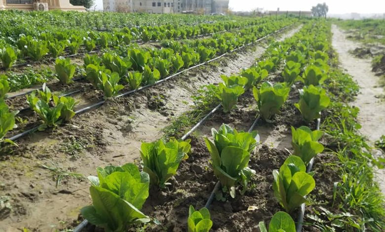 D5F41477 0A3D 4E82 9A53 3E6E614FAC07