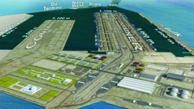 DD513BB9 D517 4FDC 8A1C 324C52D63F81