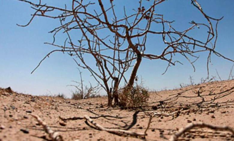 DE3A2D58 0C84 4F3B BE89 C01309B00D88