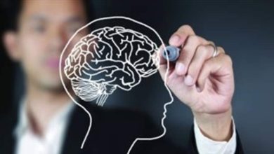 Doc P 531703 636788509134769750