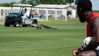 E0AIBLYWEAMIZUU 620x330 1