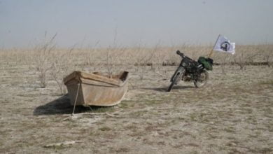 E11BD625 0EDA 4728 9A04 137ABAA2338D