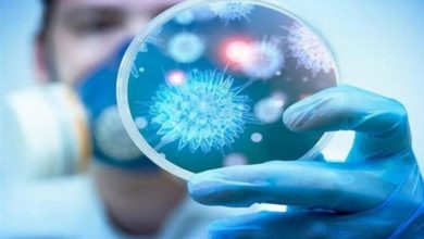 E26491FA AB9C 4954 8095 52948101AF3D