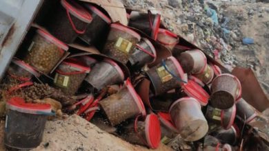 E3EDD2CF 80A7 469B 946F A2654220DF63