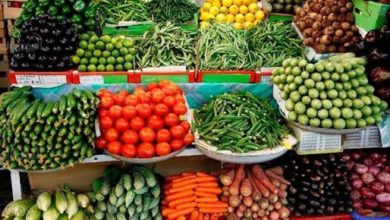 E7AF62AF 60D4 4037 92B7 F2ED5E7E3DEE