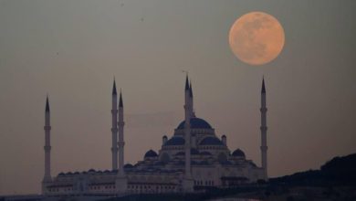 F22D2362 8F54 4F4F 80E2 5AE9450FE635