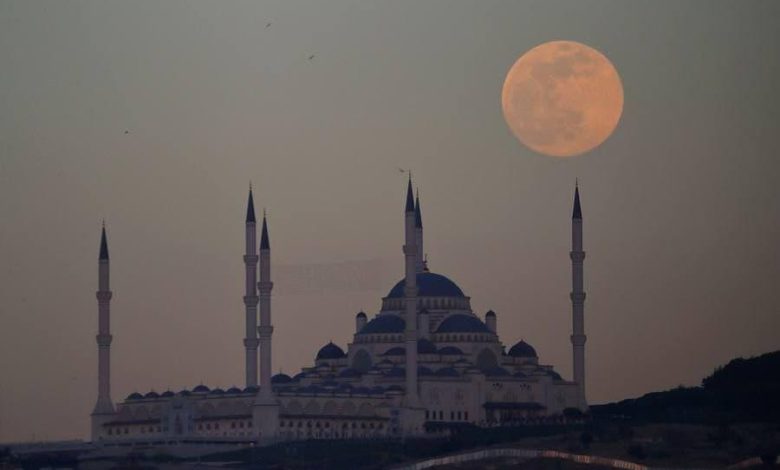 F22D2362 8F54 4F4F 80E2 5AE9450FE635