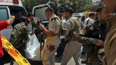 F5053591 363E 4AA5 9368 7DDAFD36CB1F