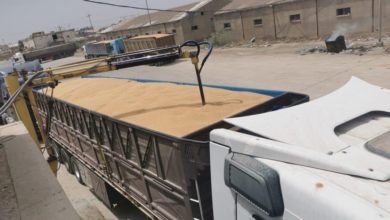 F5A8176D 44D9 49DC A719 60D57434838D