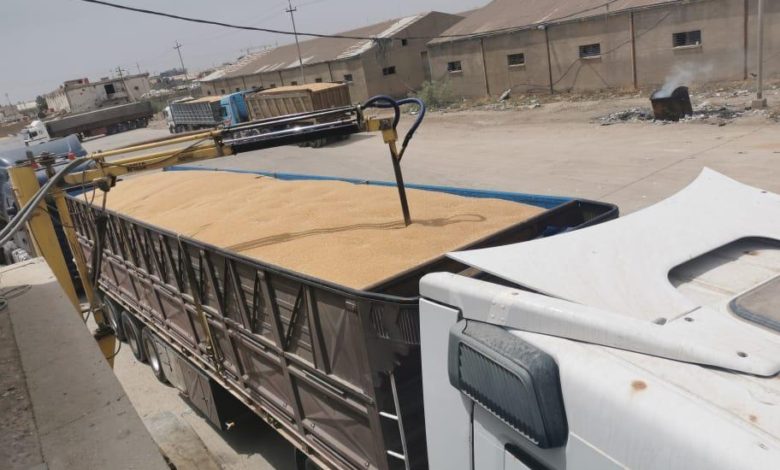 التجارة: الكميات المسوقة الاولى لموسم تسويق الحنطة 2021 تجاوزت 6 الاف طن 1 F5A8176D 44D9 49DC A719 60D57434838D