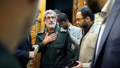 F7FC33CF 8B96 431D A55B A59730ED14C2