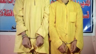 F8CB1423 F3BB 4216 8FA8 79EC20EE38A6