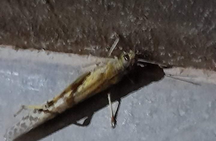 F9792AAC 2839 4AF9 A516 5FA66434515C