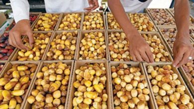 FCDC34F7 A807 47BB A827 0A44F369EEBB