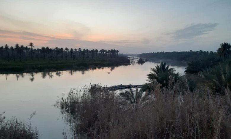 FE47D83D B5E1 48F3 B0D3 854377BA167B