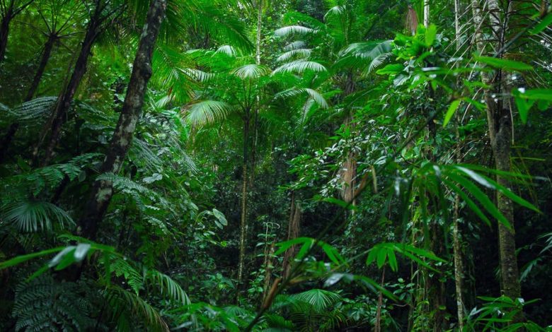 e2a6450f 6985 4f06 9678 f971b6f57d1c 16x9 1200x676