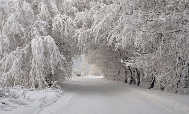 f1aec3 af711c616f374fba88bbf8c2303509d8 mv2