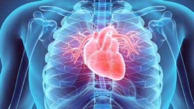 heart stock 1024x1024 1