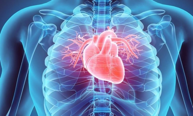 heart stock 1024x1024 1