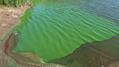 الاحتباس الحراري ينشر "عامل الموت السريع جدا" في الهواء 7 images 87