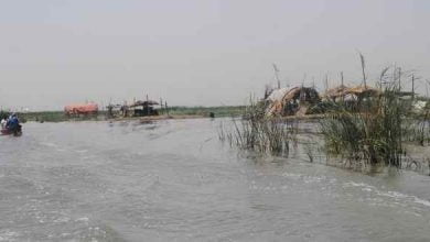 تنزيل 1 390x220 1