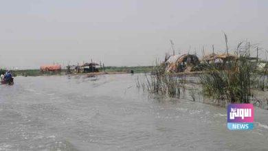 تنزيل 1 390x220 1