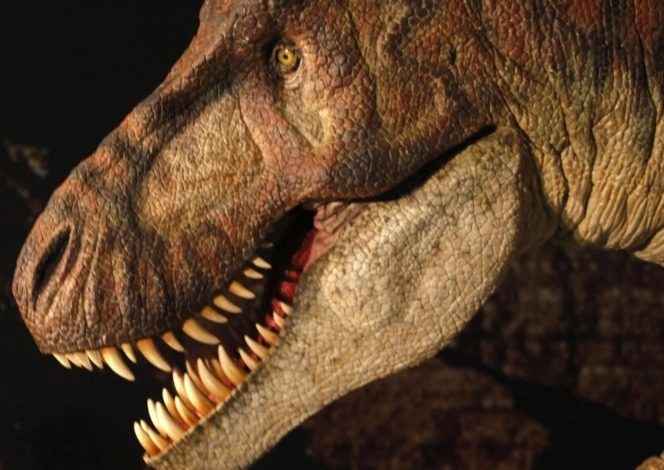 ٢٠٢١٠٤٠١ ١٢١٩٠١